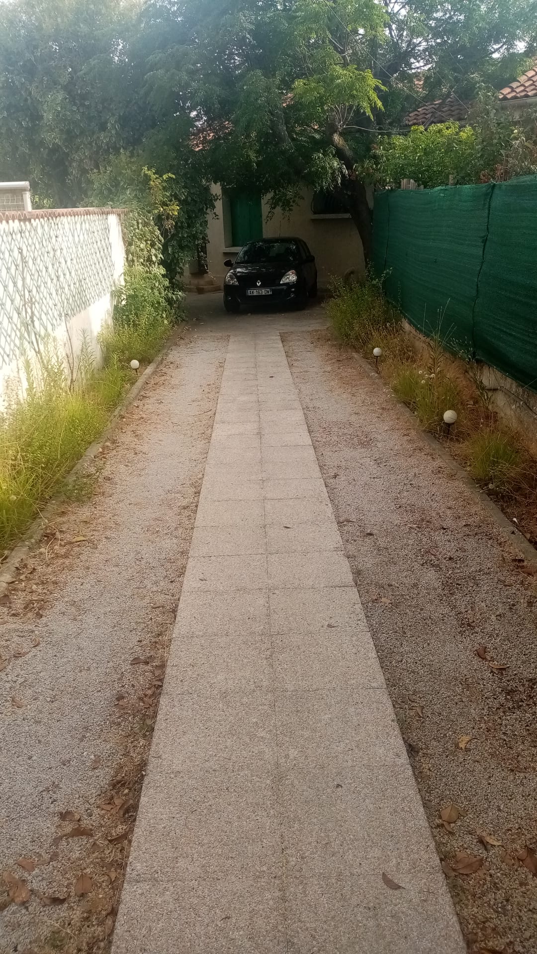 Kolokacja Montpellier 546447