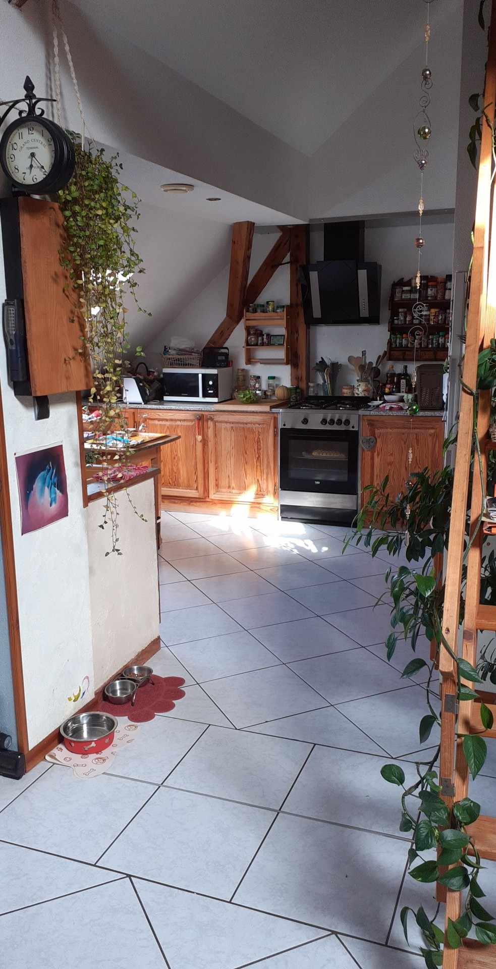 Zakwaterowanie U Rodziny Breitenbach-Haut-Rhin 473548