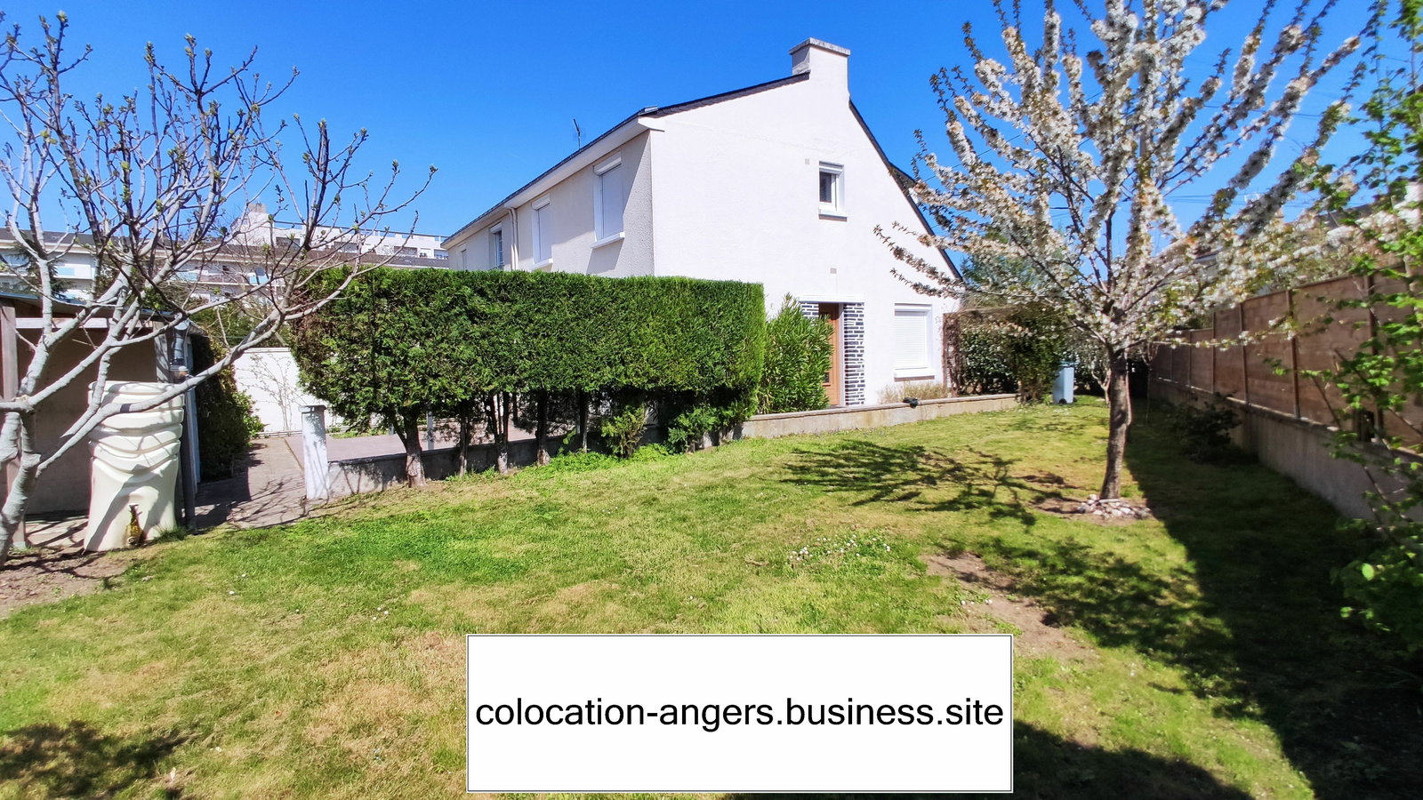 Kolokacja Angers 247353