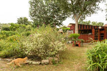 Zakwaterowanie U Rodziny Ondres 157335