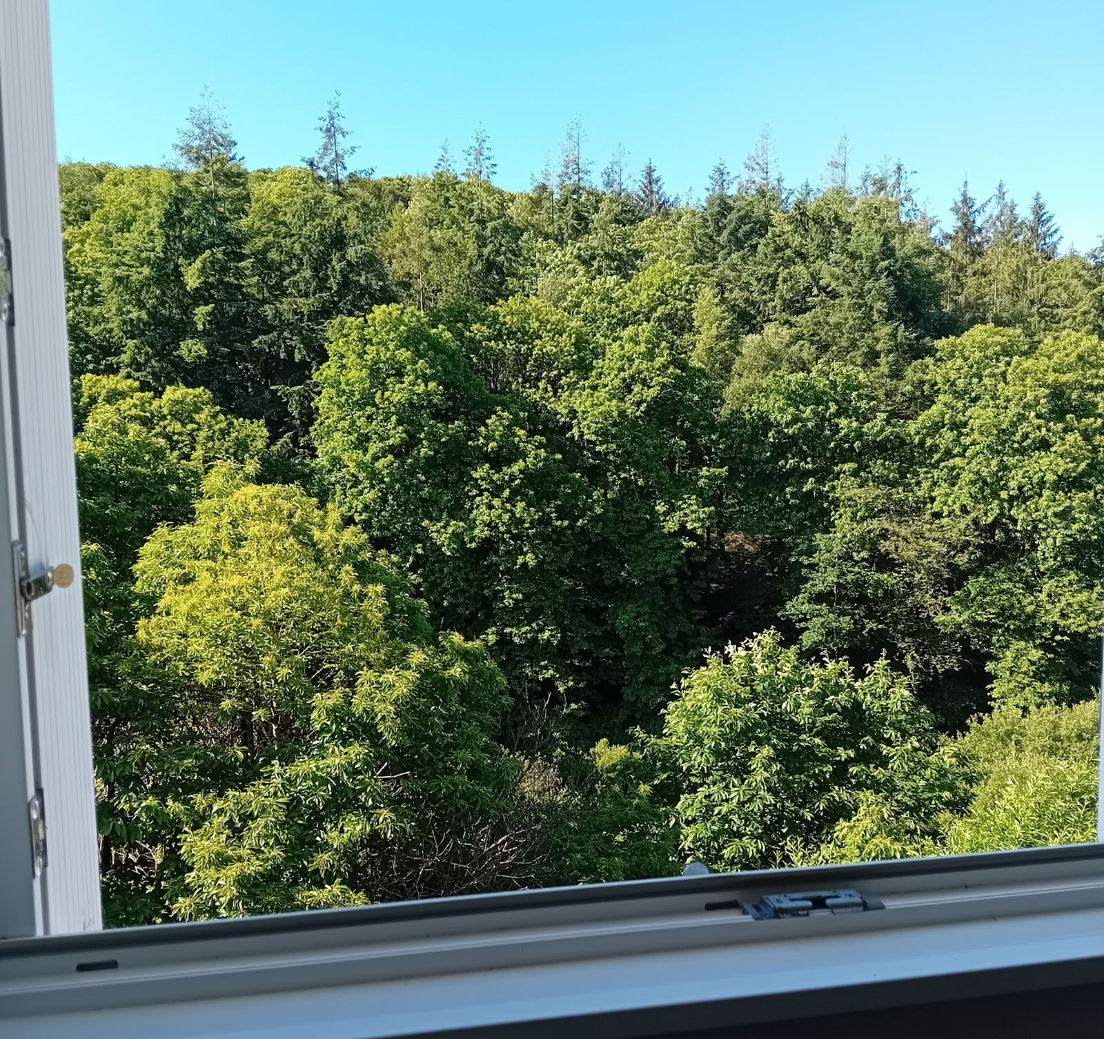 Zakwaterowanie U Rodziny Plonéis 657125