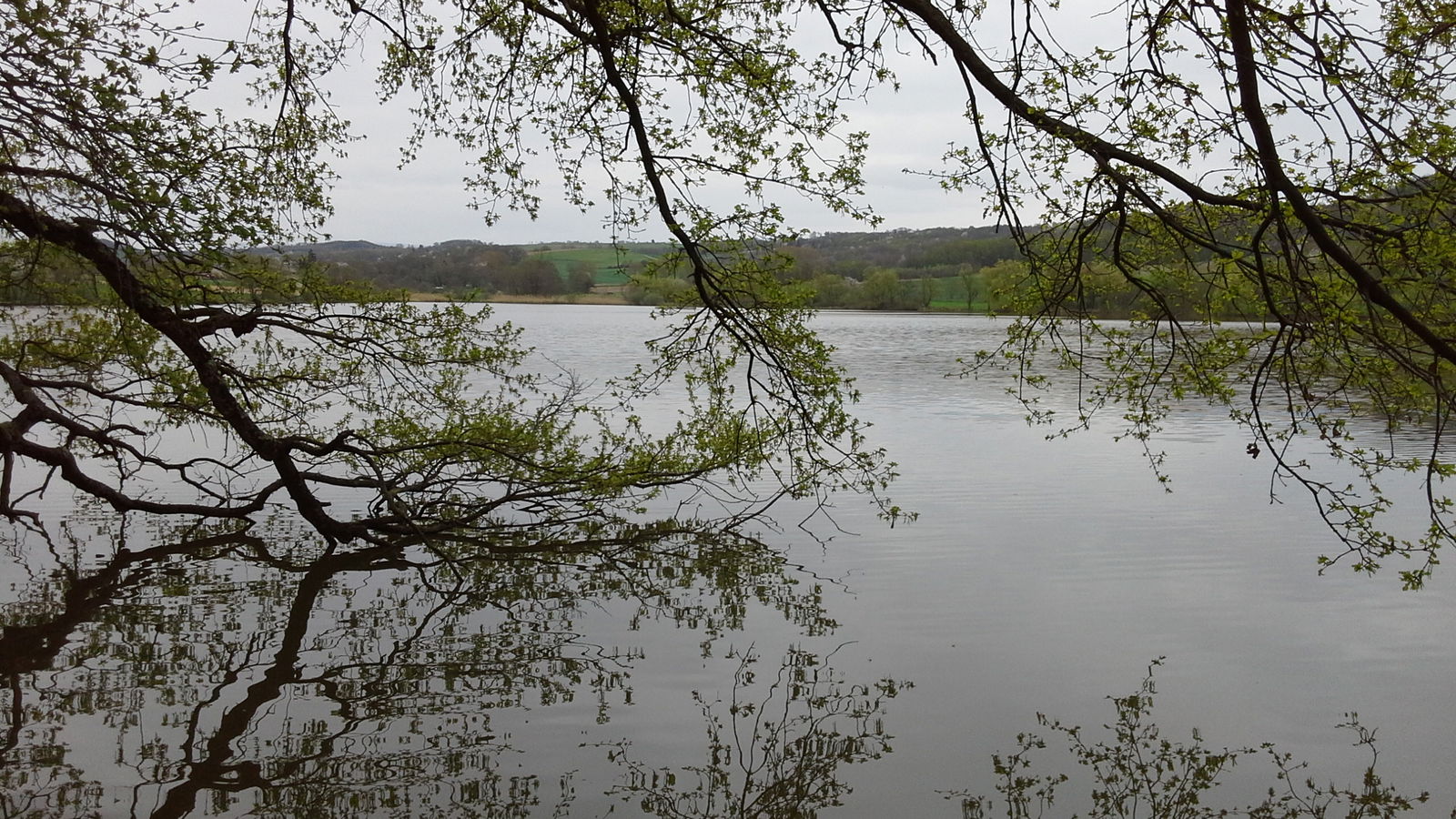 Niezależne Studio Thodure 101249