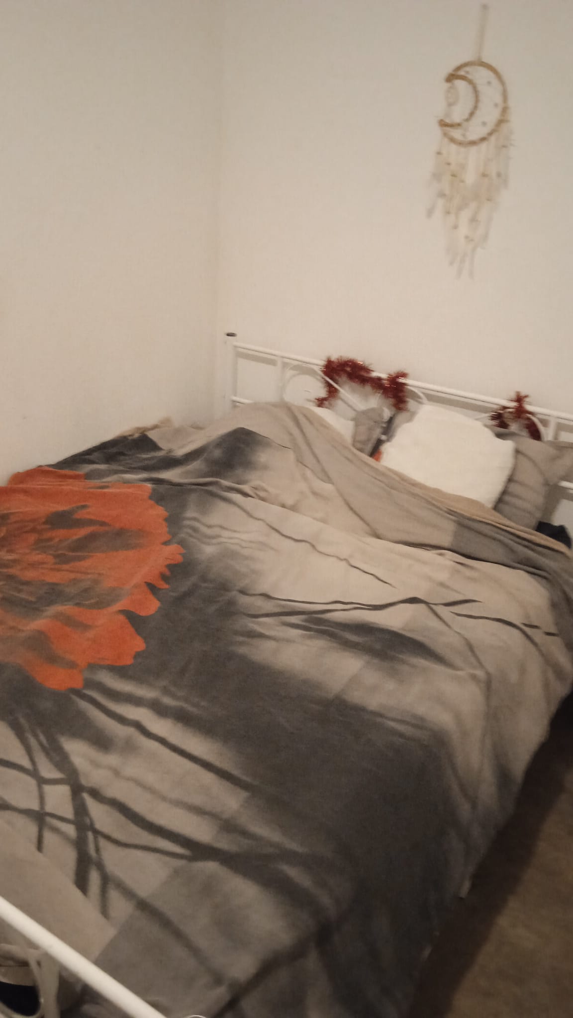 Kolokacja Captieux 657534