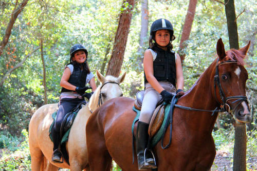 Zakwaterowanie U Rodziny Sant Cugat del Vallès 133598