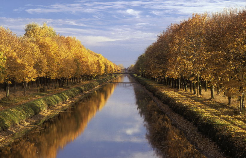 Zakwaterowanie U Rodziny Saint-Porquier 108902