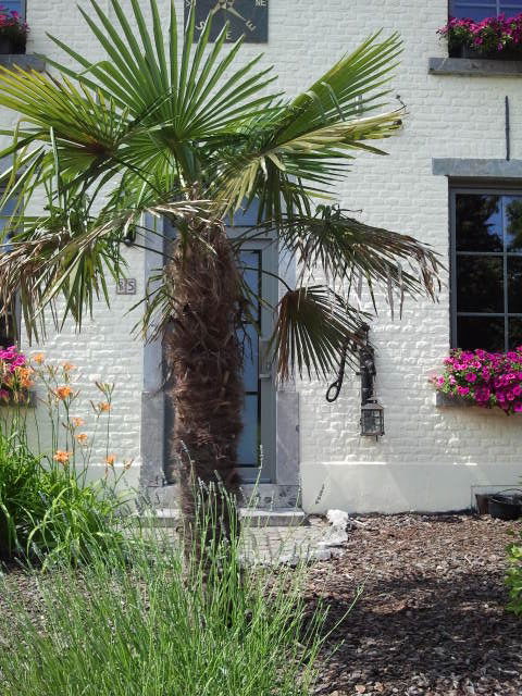 Zakwaterowanie U Rodziny Ham-sur-Heure-Nalinnes 69305