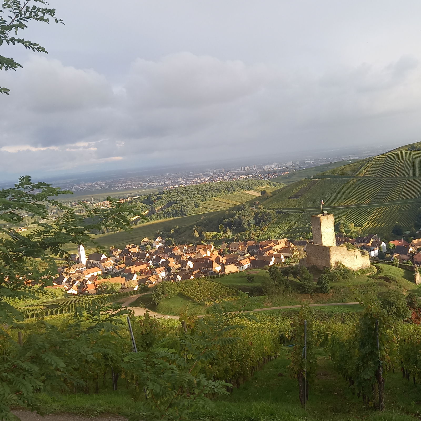 Życie Turckheim 401678