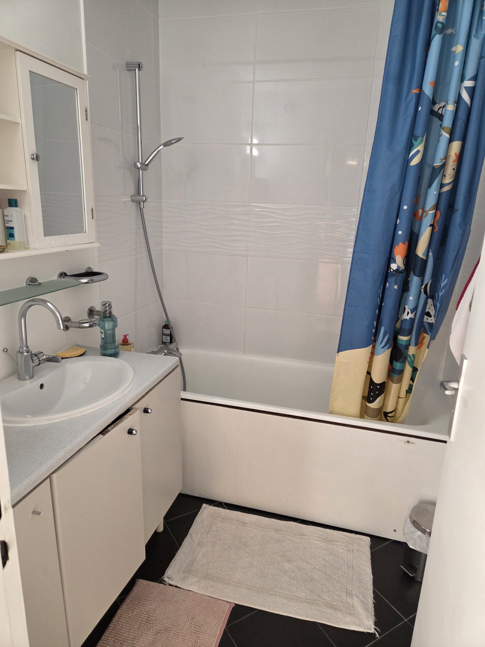 Homestay Paris 665014