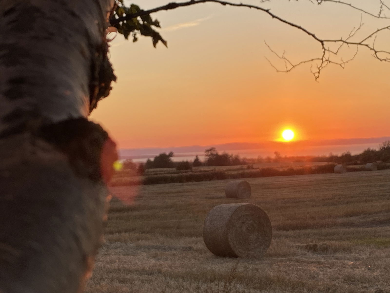 Pokoje Gościnne Saint-Ã�Loi 494123
