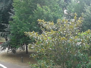 Roomlala | Pokój studencki w domu rezydenta w Thiais (94320)