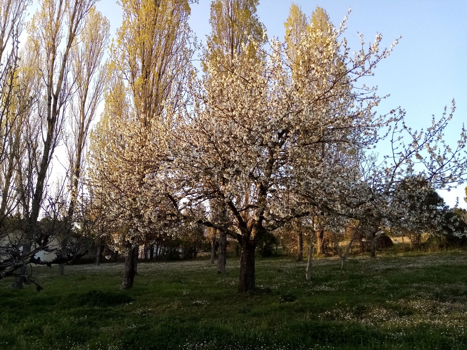 Zakwaterowanie U Rodziny Castelnau-sur-Gupie 248193