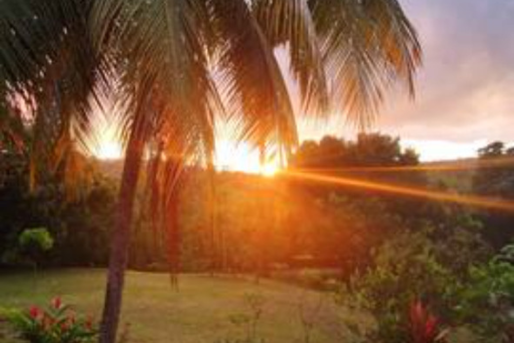 Zakwaterowanie U Rodziny Gros-Morne 384786