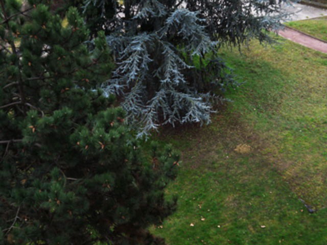 Kolokacja Limeil-Brevannes 23105