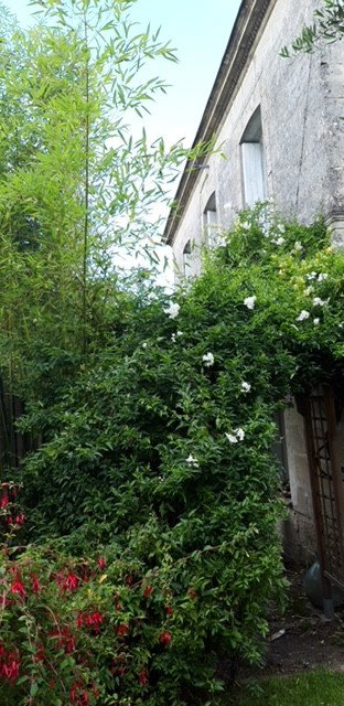 Homestay Talence 667234