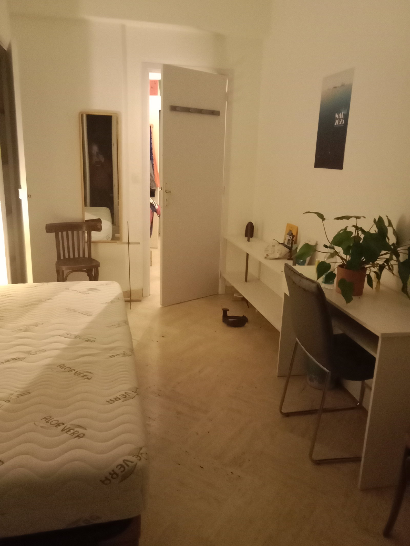 Kolokacja Nice 91279