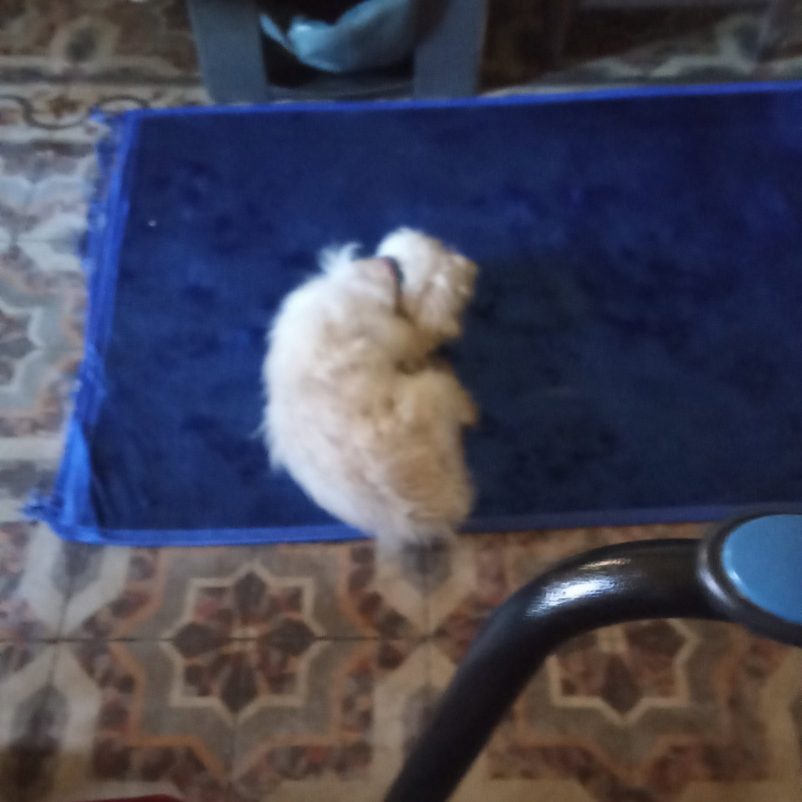 Pokoje Gościnne Arles 591659