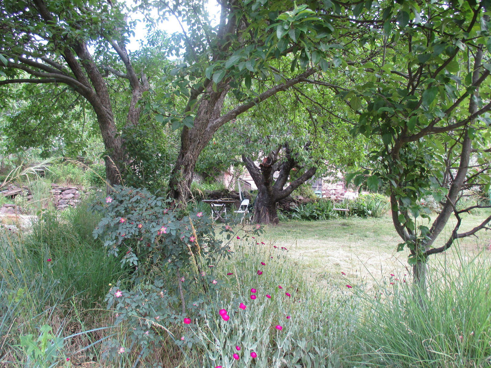 Zakwaterowanie U Rodziny Valdeblore 138877