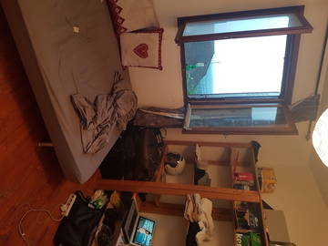 Roomlala | Pokój w dużym mieszkaniu współdzielonym