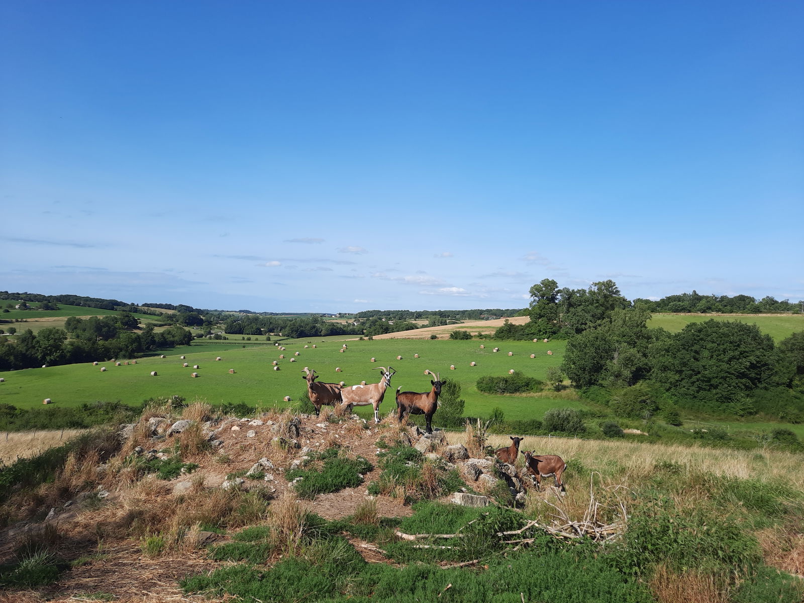 Pokoje Gościnne Mauvezin-sur-Gupie 495606