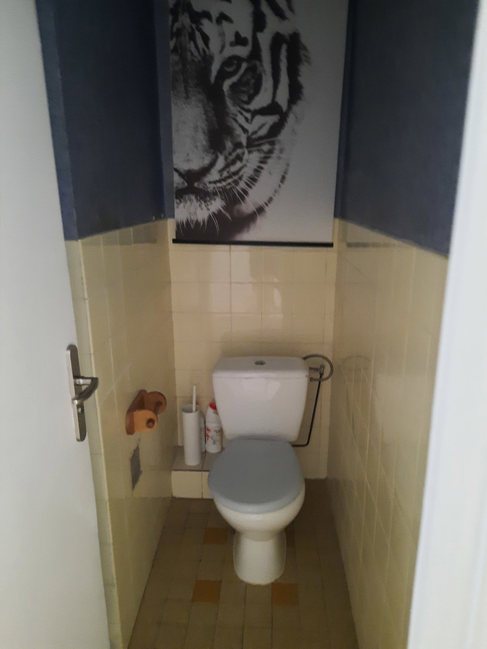 Kolokacja Nice 622104