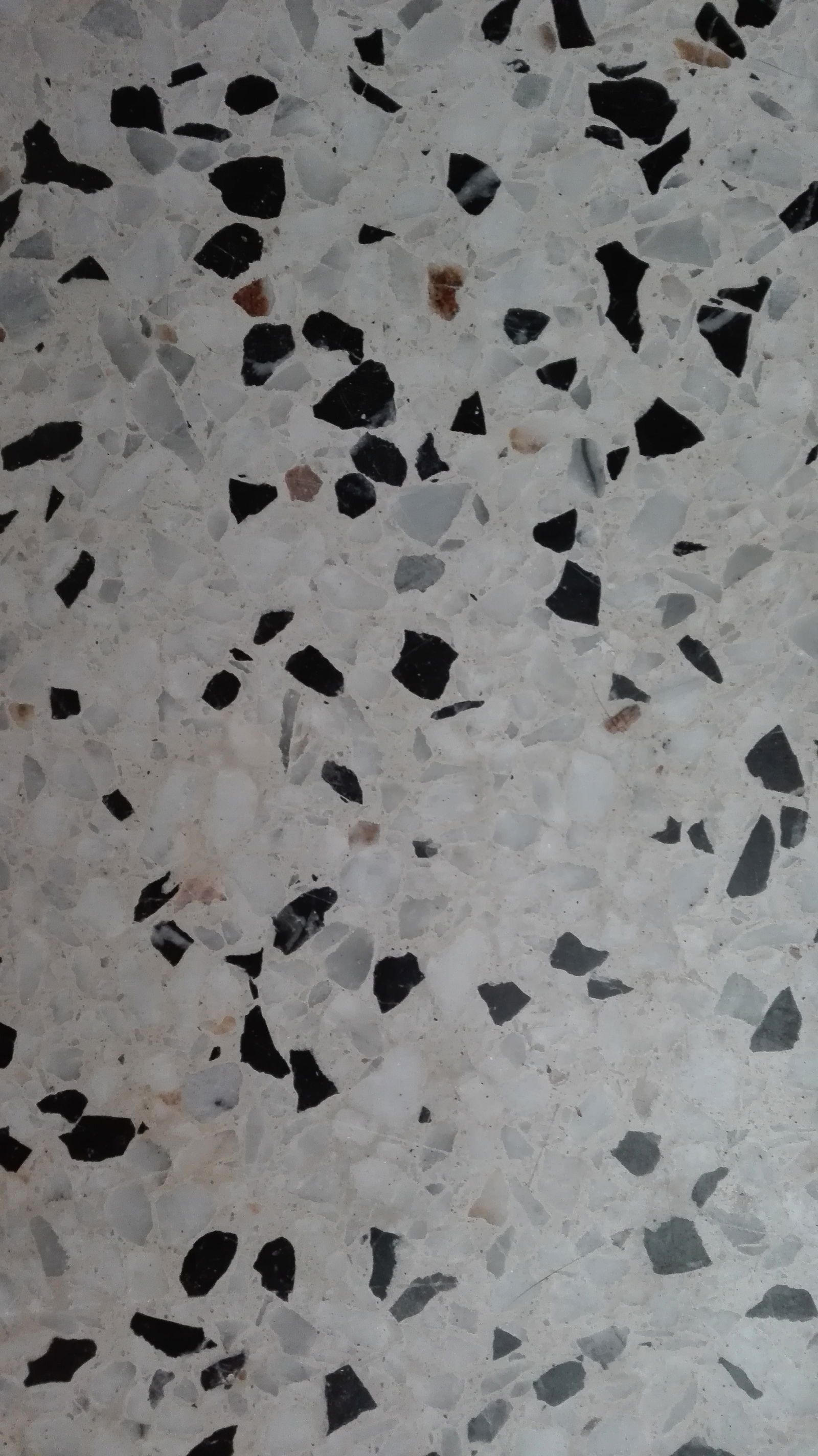 Kolokacja Las Palmas de Gran Canaria 194937