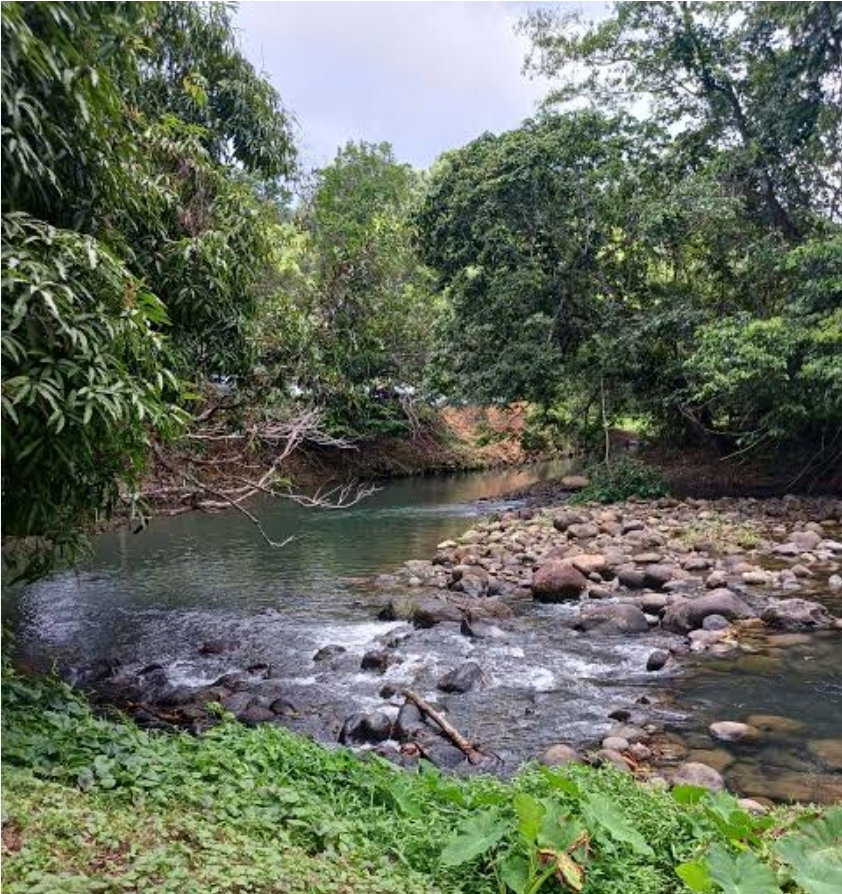 Zakwaterowanie U Rodziny Petit-Bourg 662411