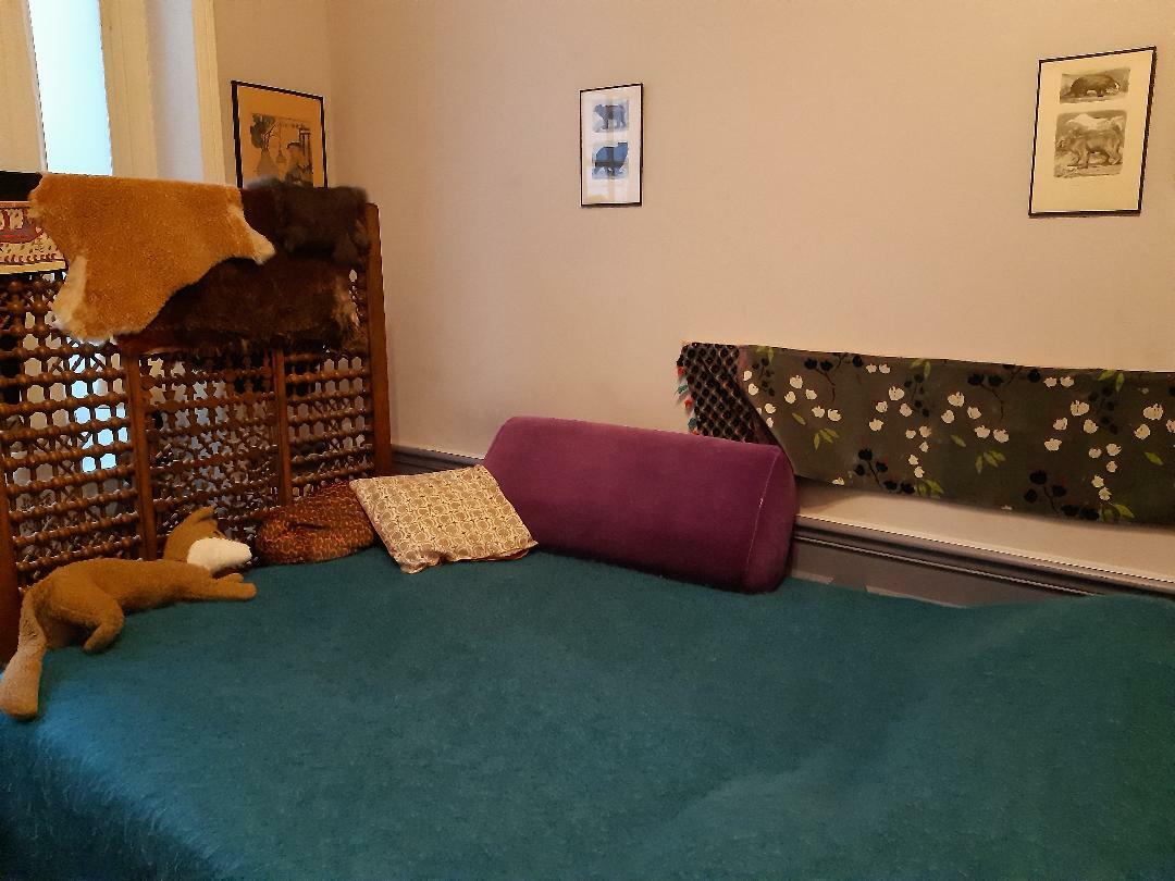 Zakwaterowanie U Rodziny Paris 233717