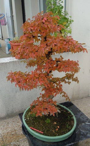 Zakwaterowanie U Rodziny Caluire-et-Cuire 34666