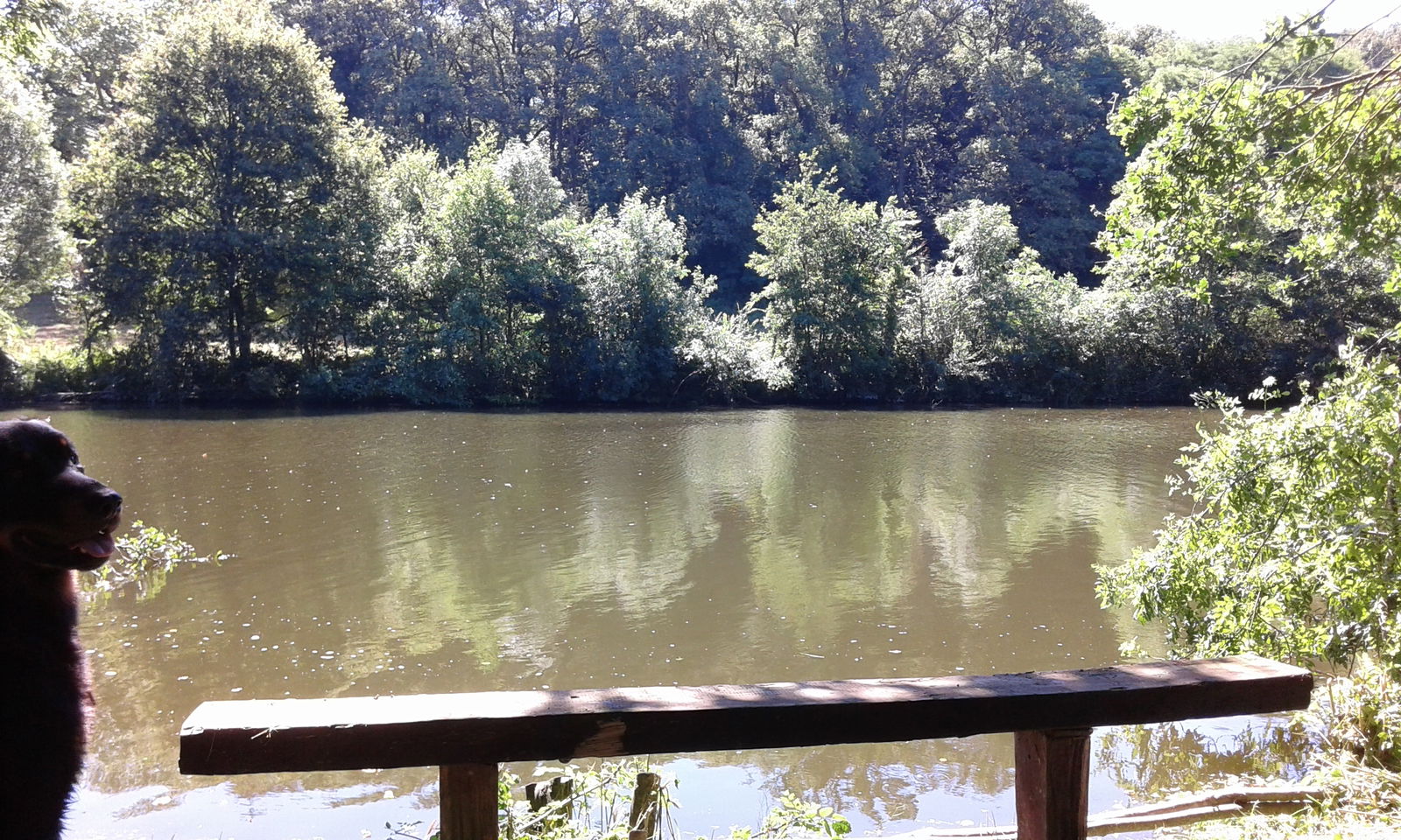 Zakwaterowanie U Rodziny Torfou 129907