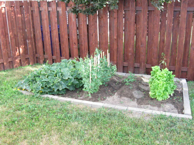 Kolokacja Gatineau 75824