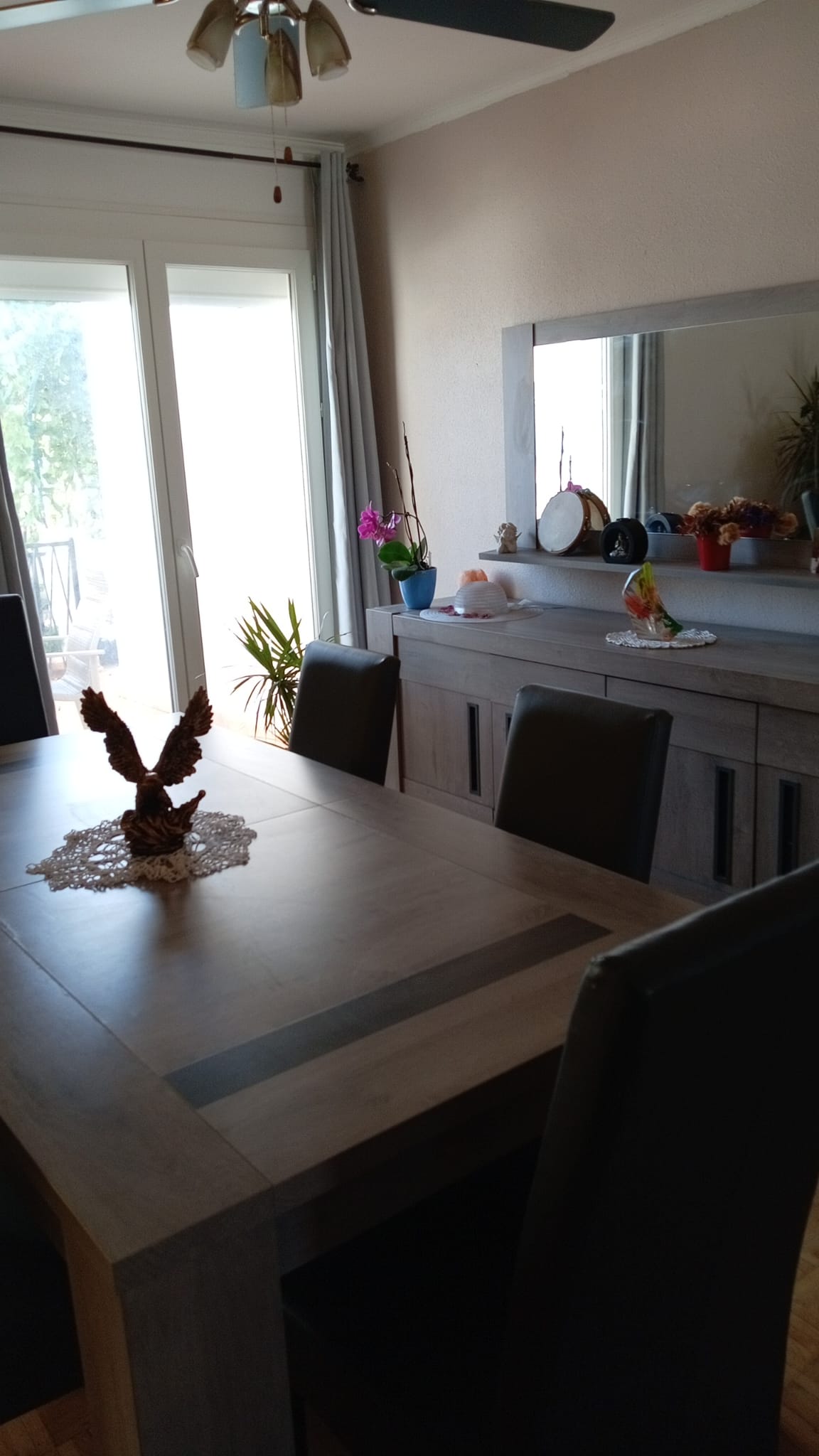 Kolokacja Canet 480704