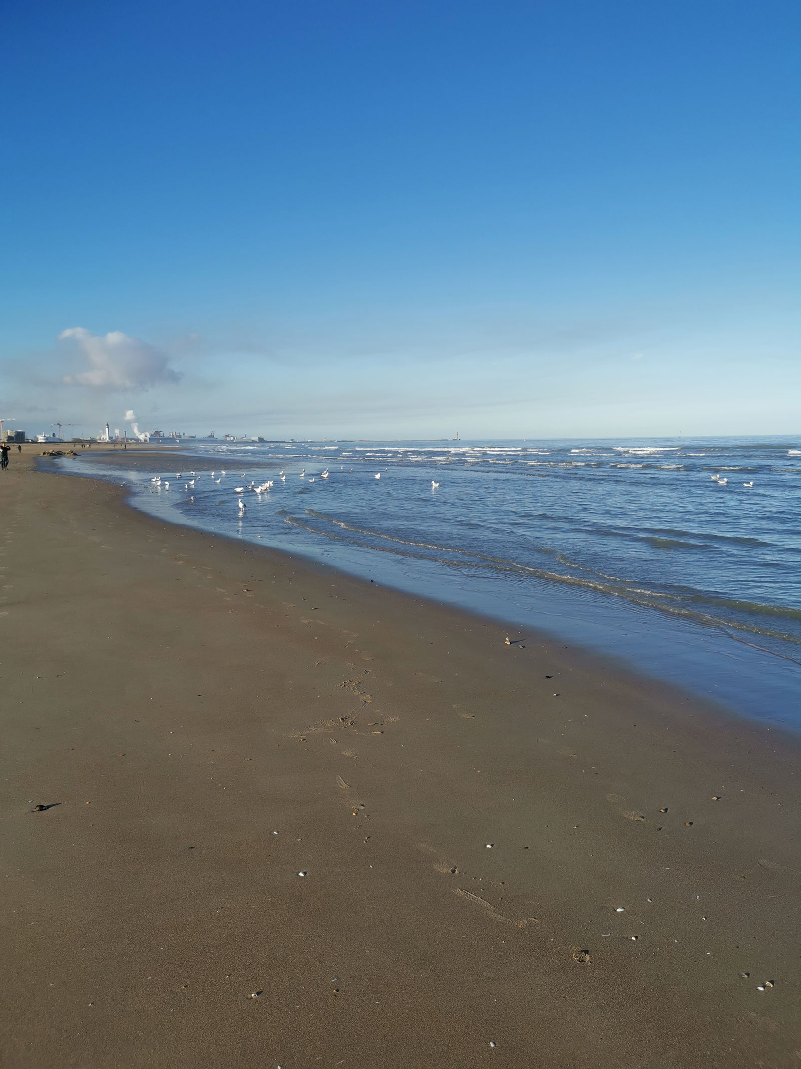 Zakwaterowanie U Rodziny Calais 657281