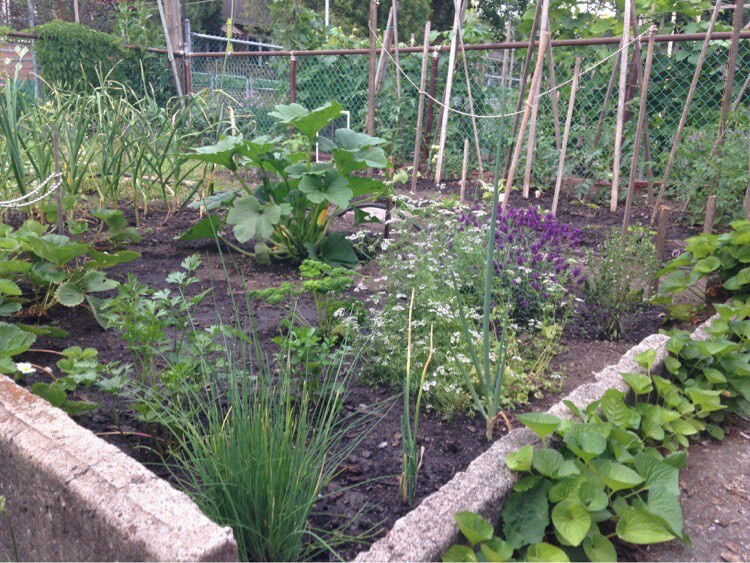 Zakwaterowanie U Rodziny Montréal 254869