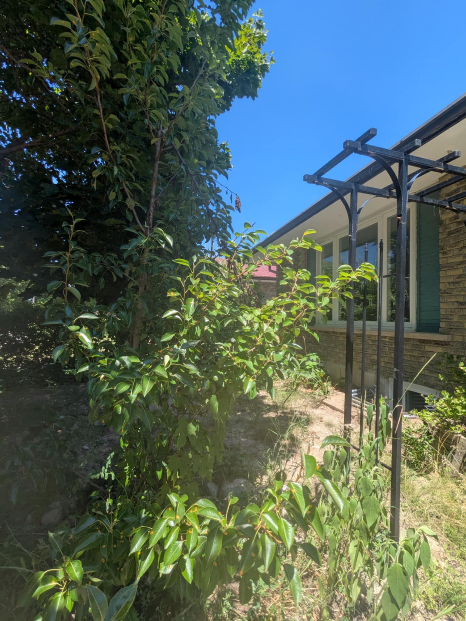 Kolokacja Kitchener 635602