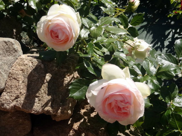 Pokoje Gościnne Matour 98953