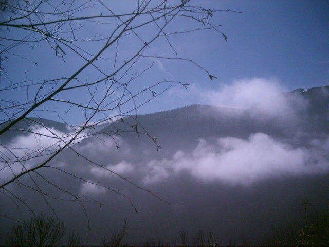 Kolokacja Le Bosc 59666