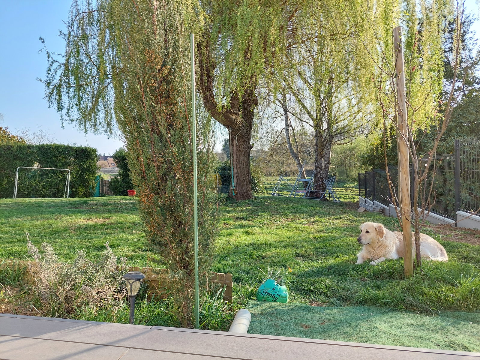 Kolokacja Cerny 259710