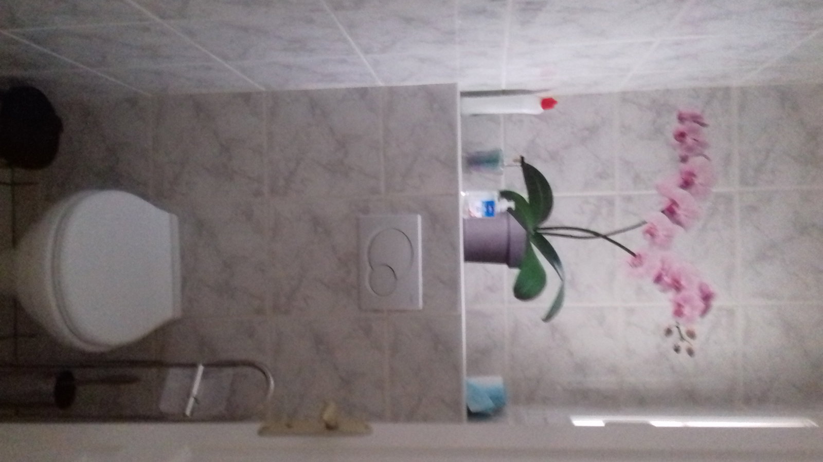 Ganz Haus Pornic 134387