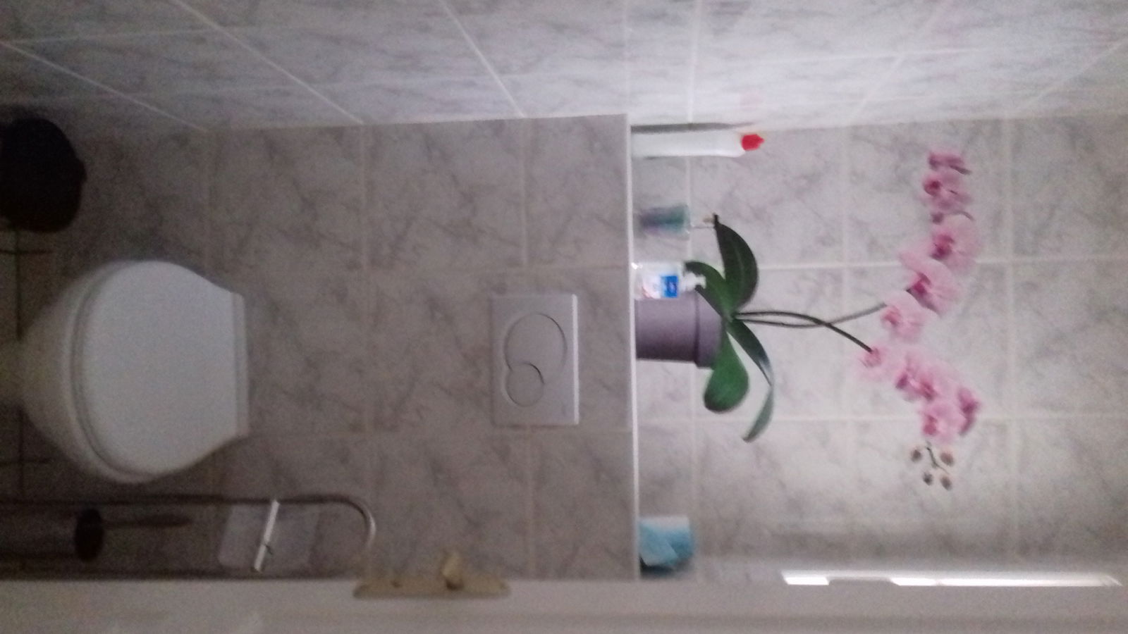 Tutta La Casa Pornic 134387