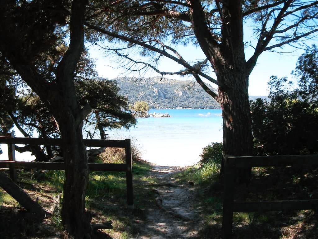 Logement Entier Porto-Vecchio 161946