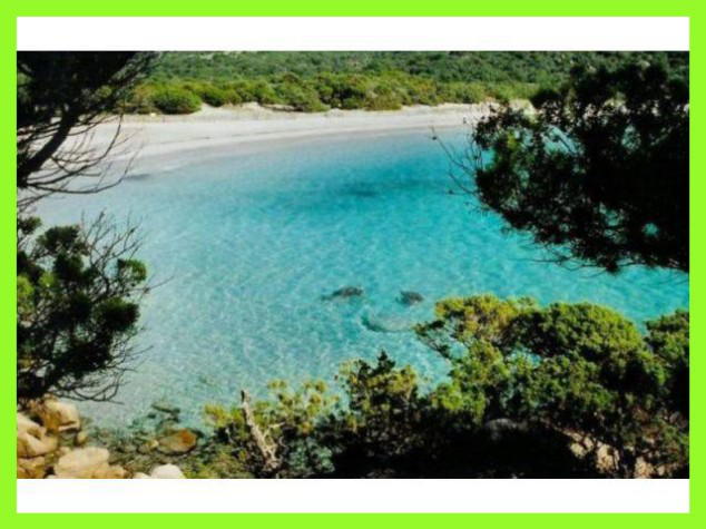 Gehele Woning Porto-Vecchio 161946