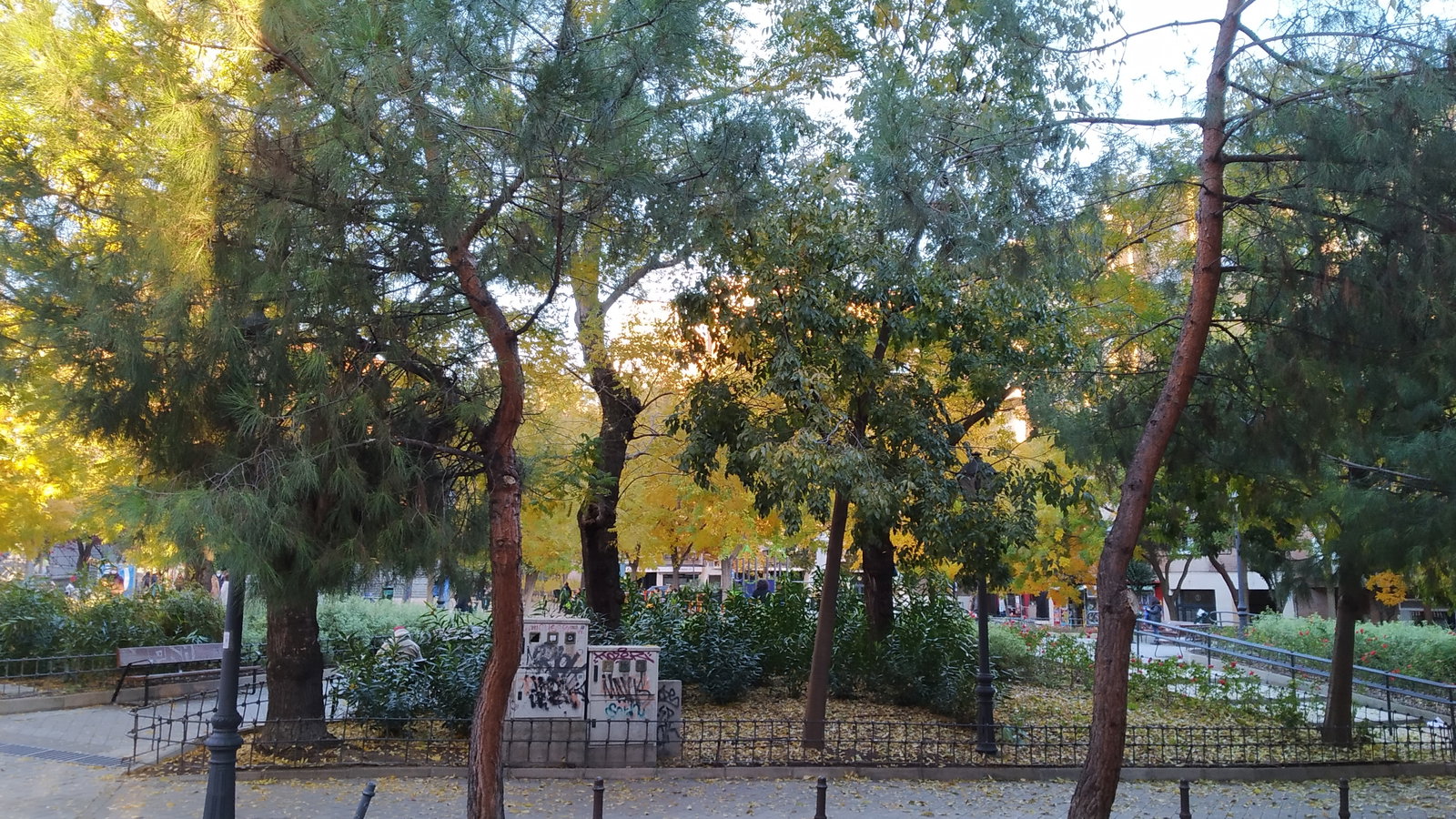 Homestay Madrid 162214