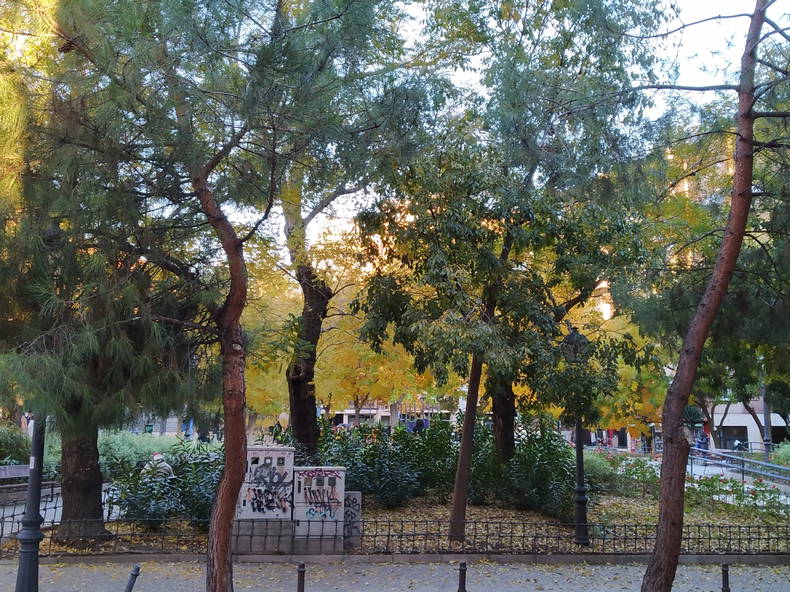 Chambre Chez L'habitant Madrid 162214-5