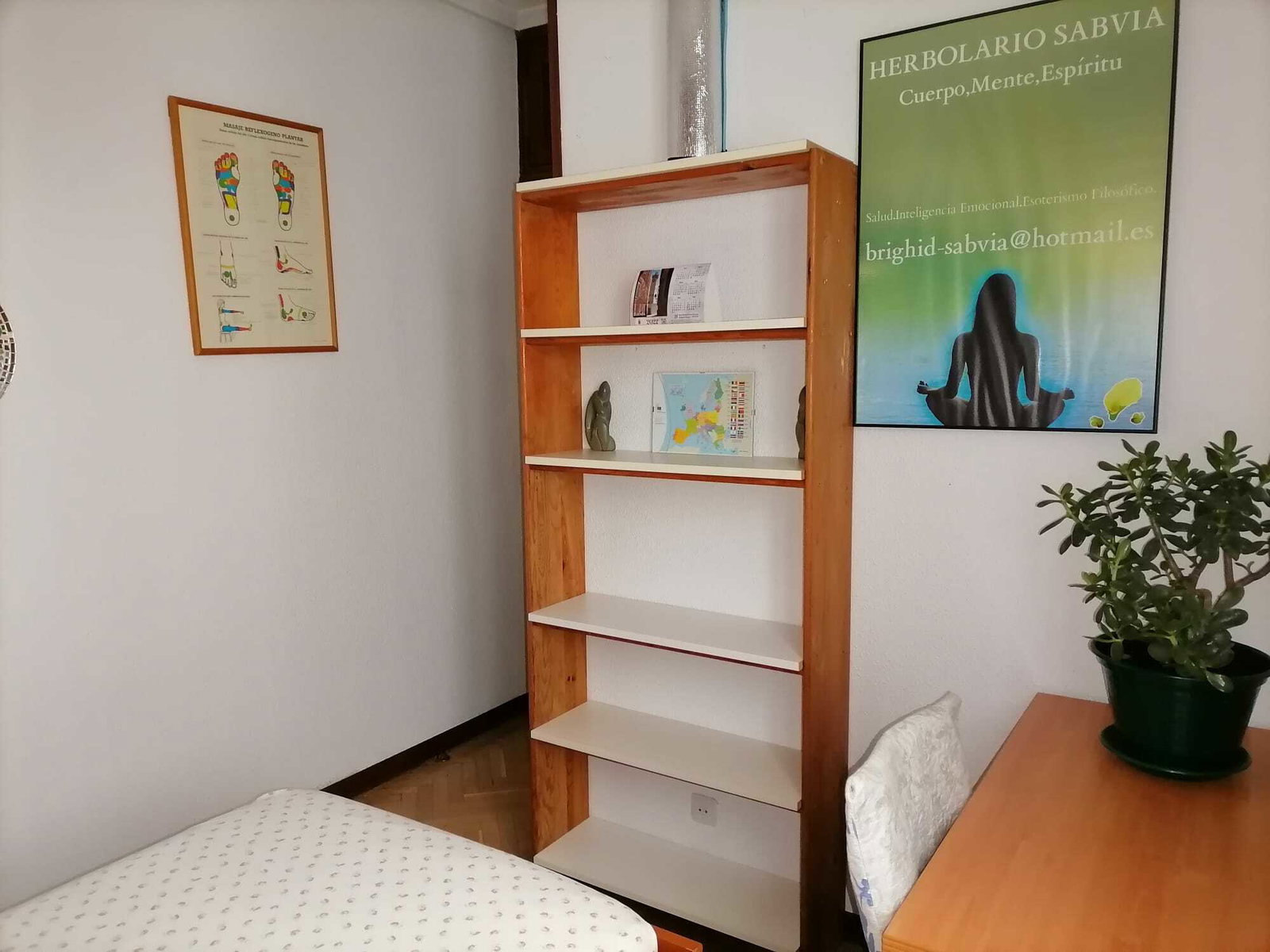 Homestay Madrid 162214