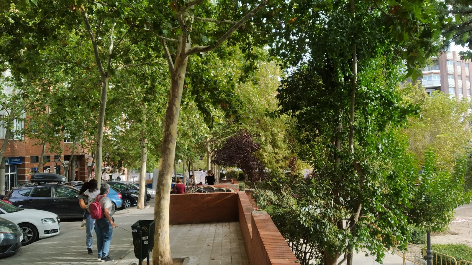 Homestay Madrid 162214