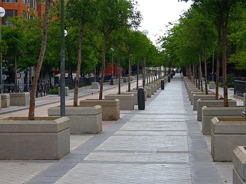 Homestay Madrid 162214