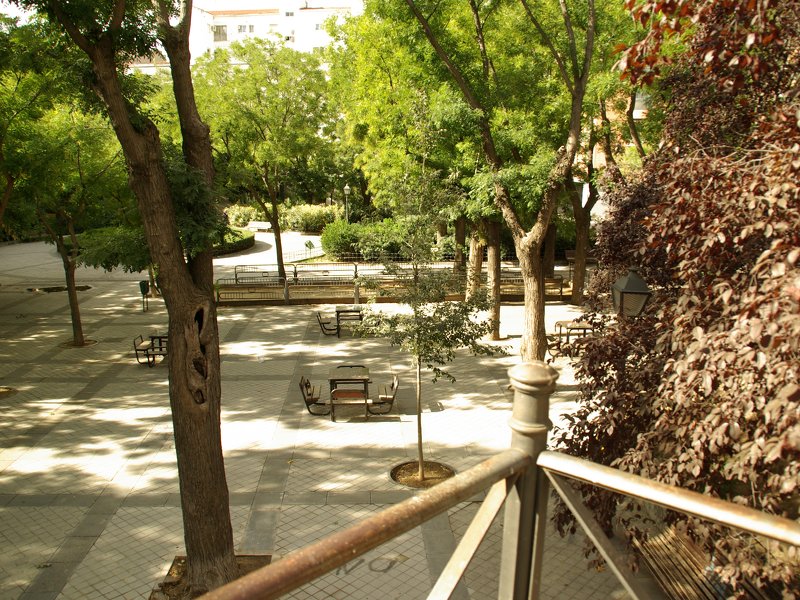 Homestay Madrid 162214