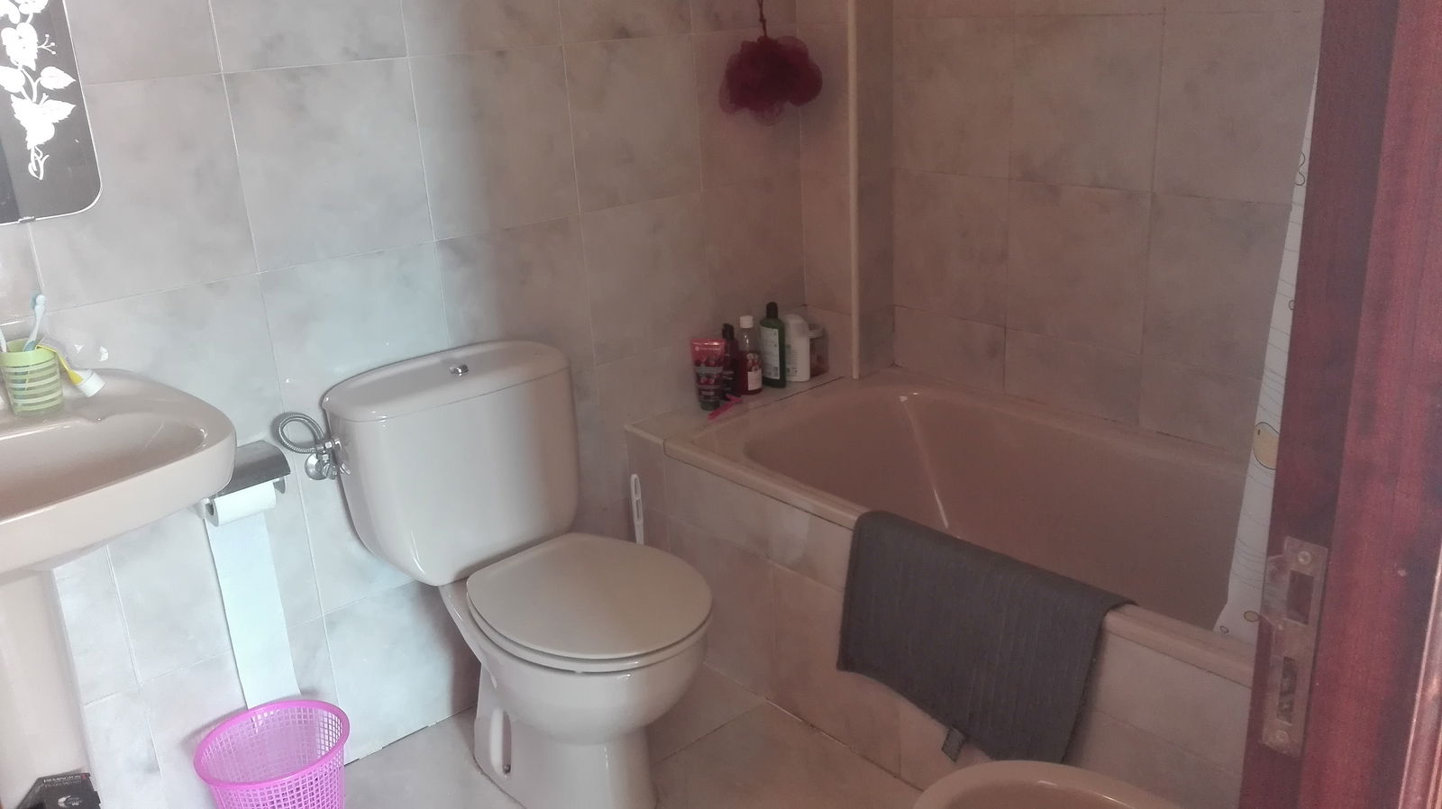 Kolokacja León 170435