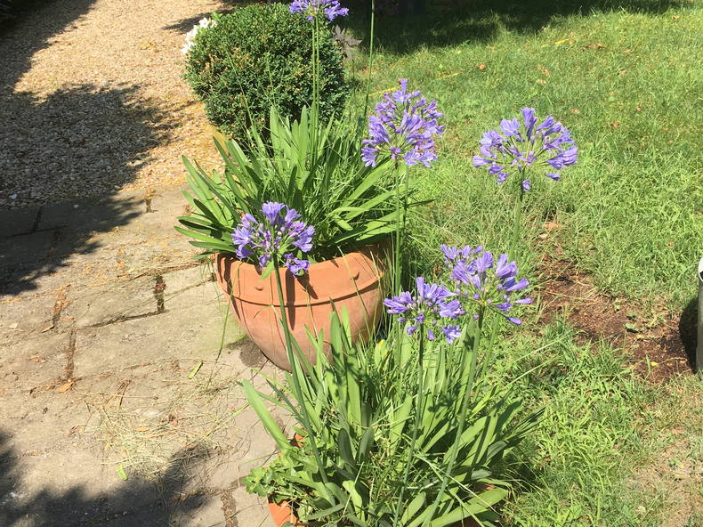 Gastfamilie Bourges 652329-4