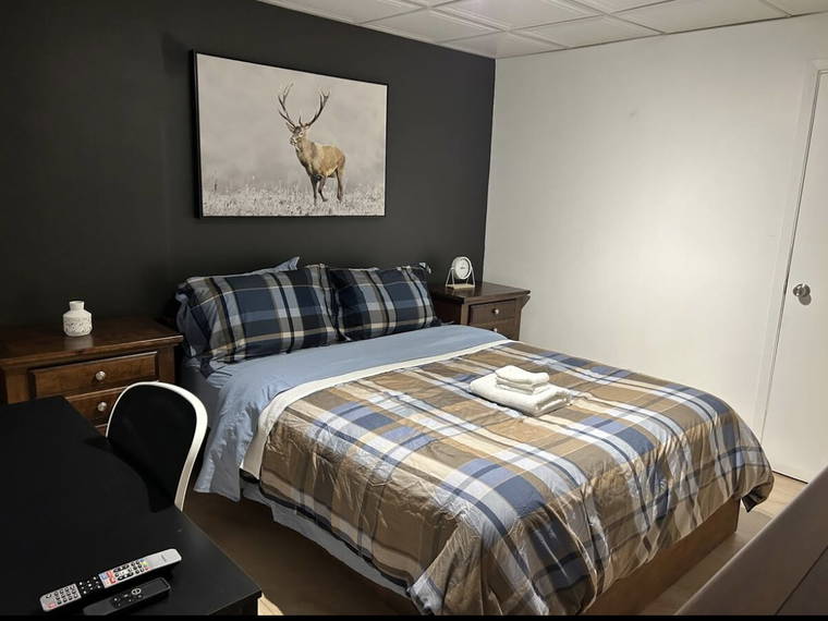 Kolokation Trois-Rivières 640439